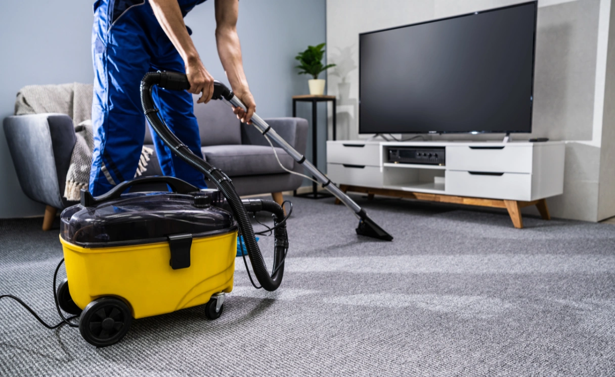 Extract Carpet Cleaning Boneo Contact Office